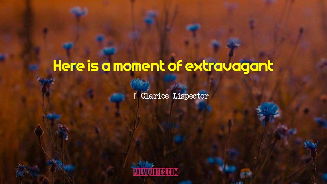 Quickness quotes by Clarice Lispector