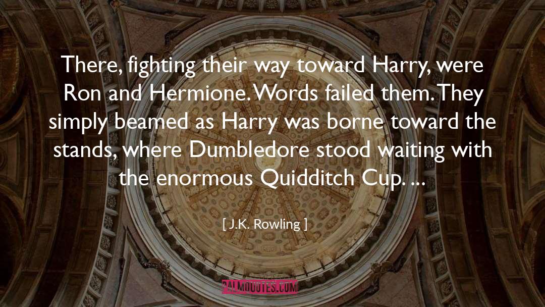 Quidditch quotes by J.K. Rowling