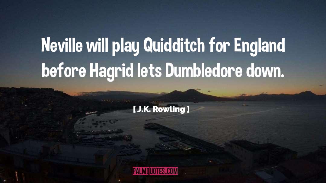 Quidditch quotes by J.K. Rowling