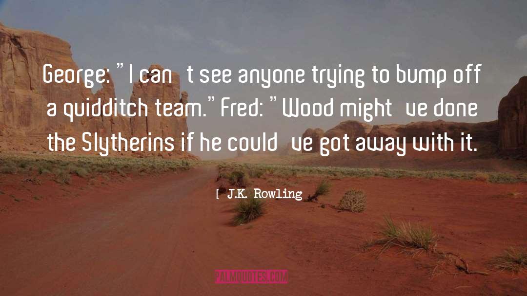 Quidditch quotes by J.K. Rowling