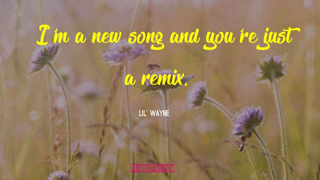 Quiereme Remix quotes by Lil' Wayne