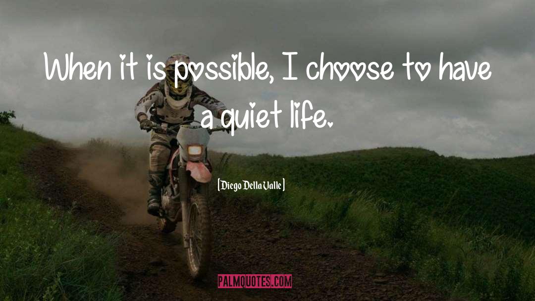 Quiet Life quotes by Diego Della Valle