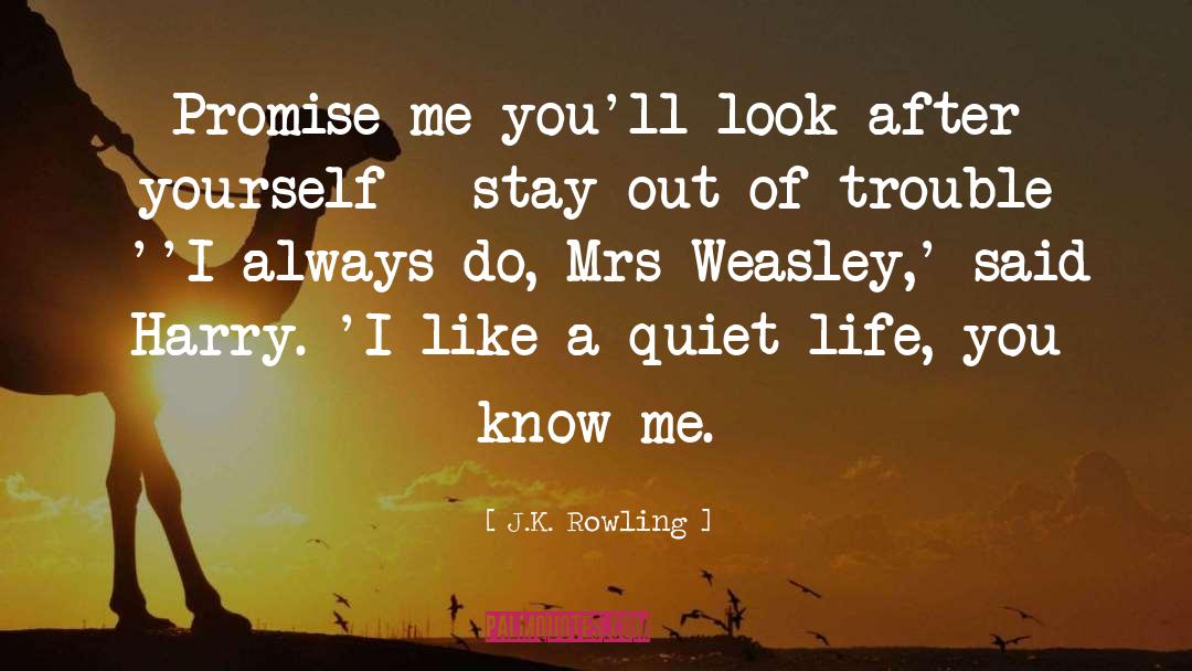 Quiet Life quotes by J.K. Rowling