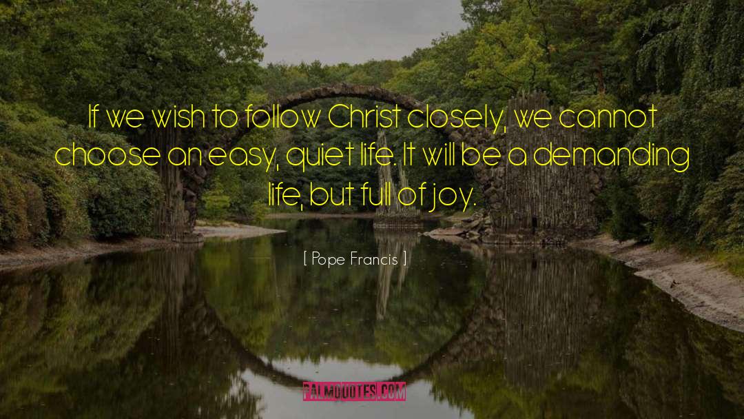 Quiet Life quotes by Pope Francis