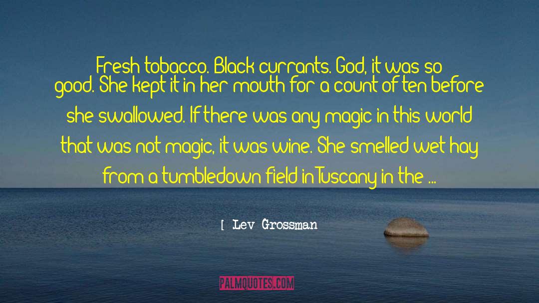 Quiet Magic quotes by Lev Grossman