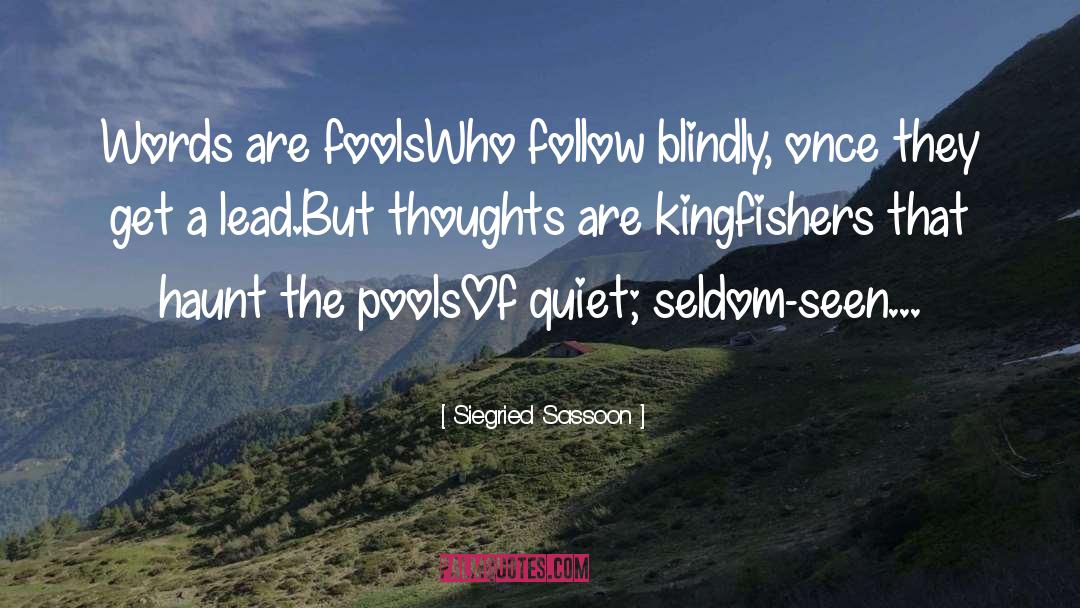 Quiet Magic quotes by Siegried Sassoon