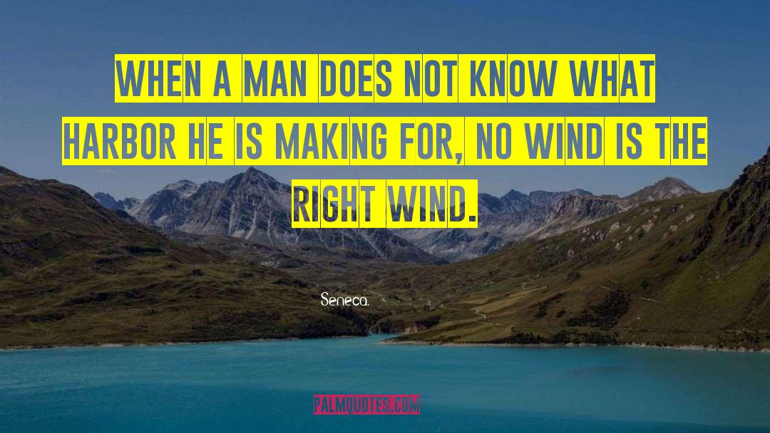 Quiet Man quotes by Seneca.