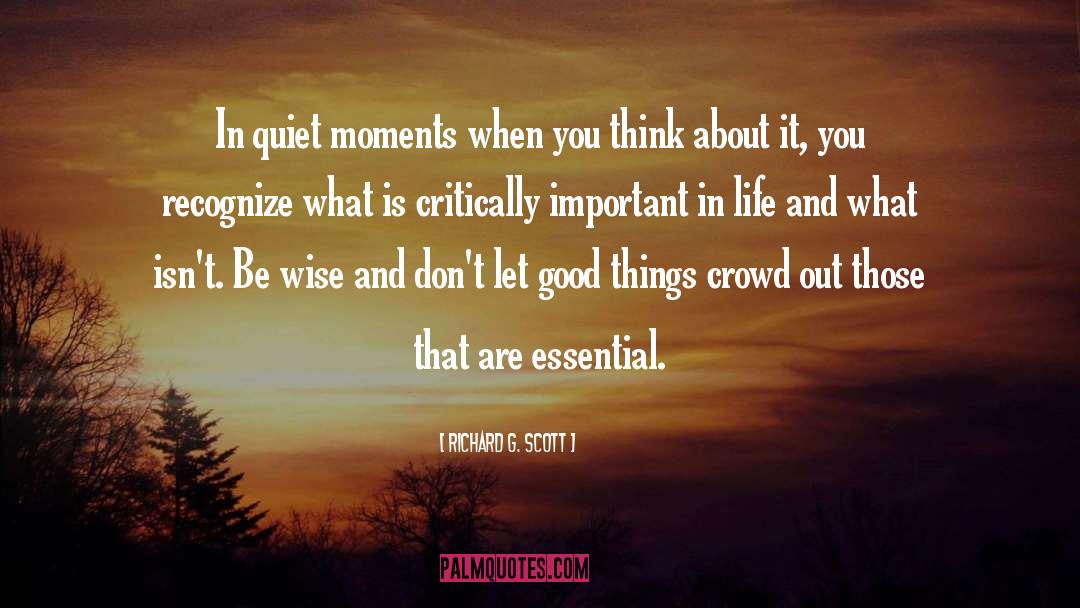 Quiet Moments quotes by Richard G. Scott