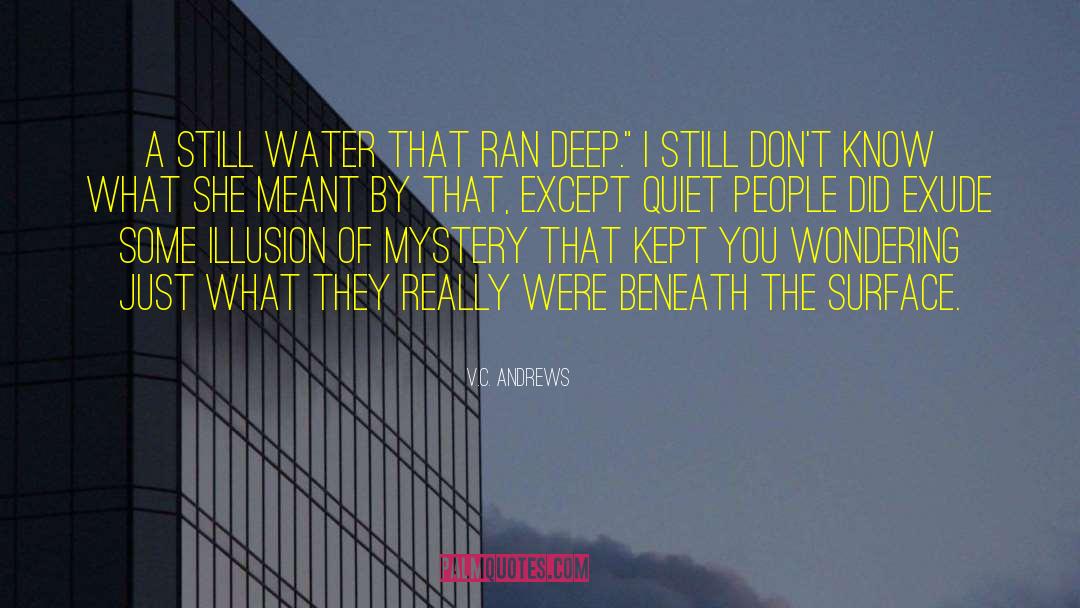 Quiet People quotes by V.C. Andrews