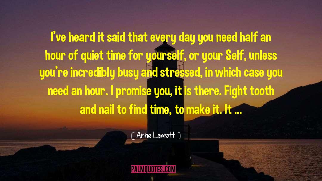 Quiet Time quotes by Anne Lamott