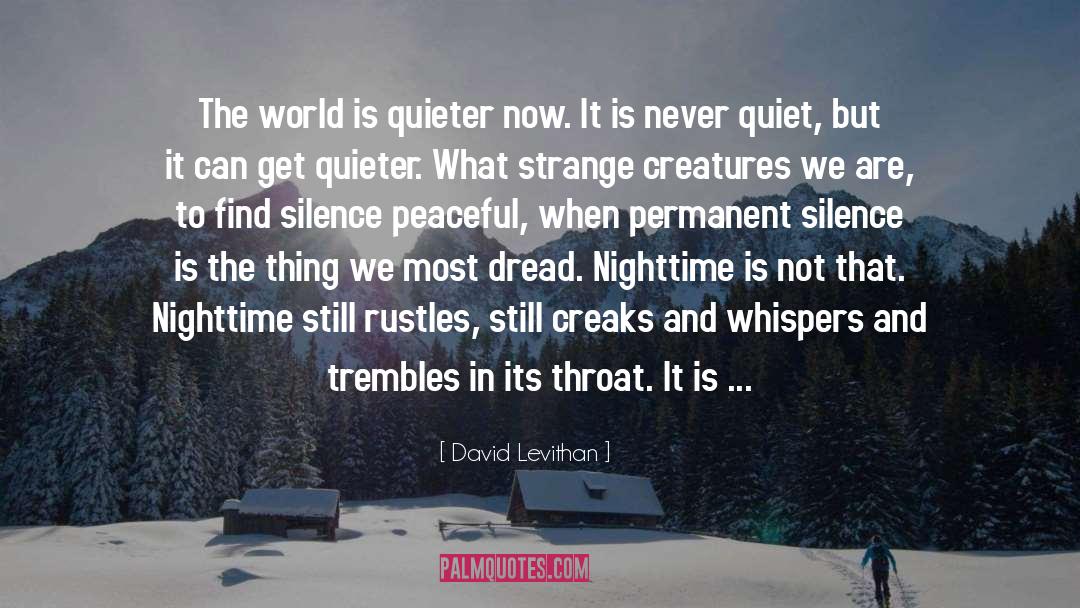Quieter quotes by David Levithan