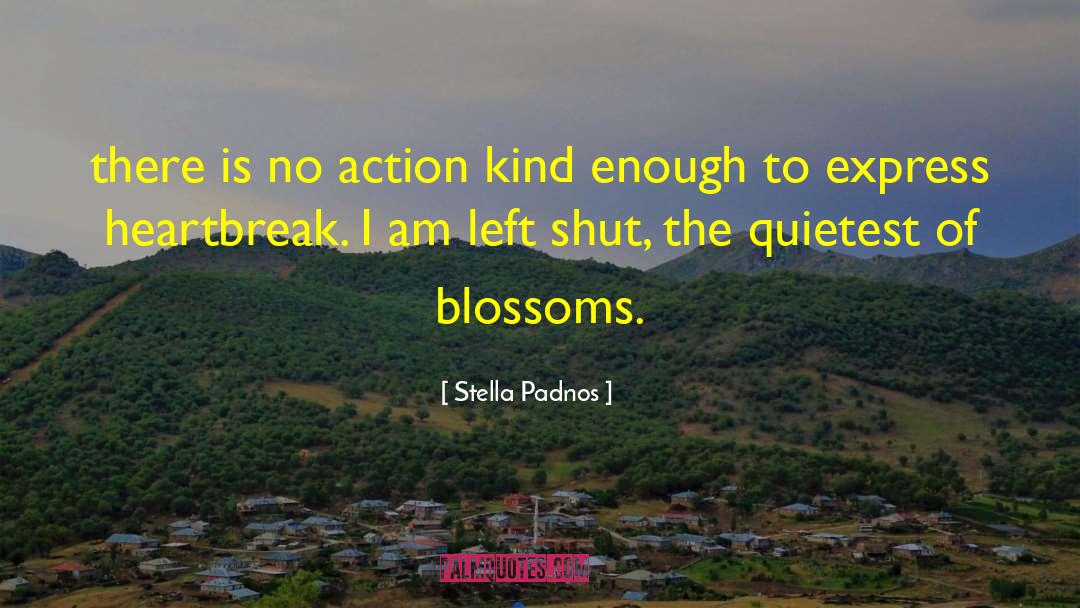 Quietest quotes by Stella Padnos