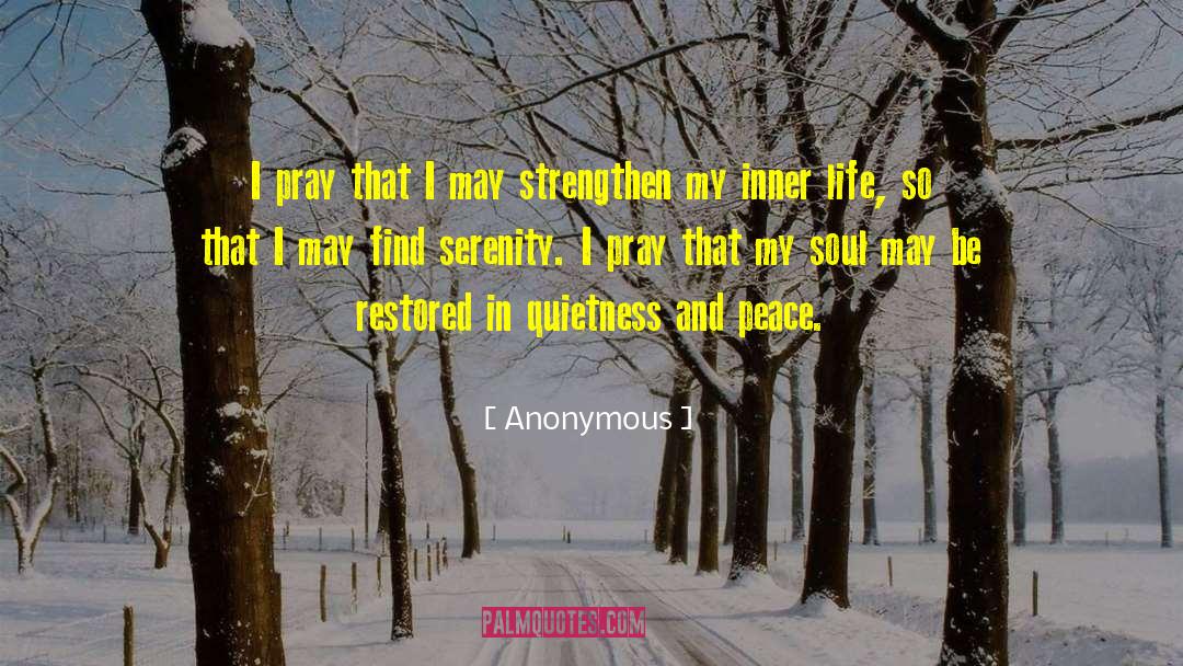 Quietness quotes by Anonymous