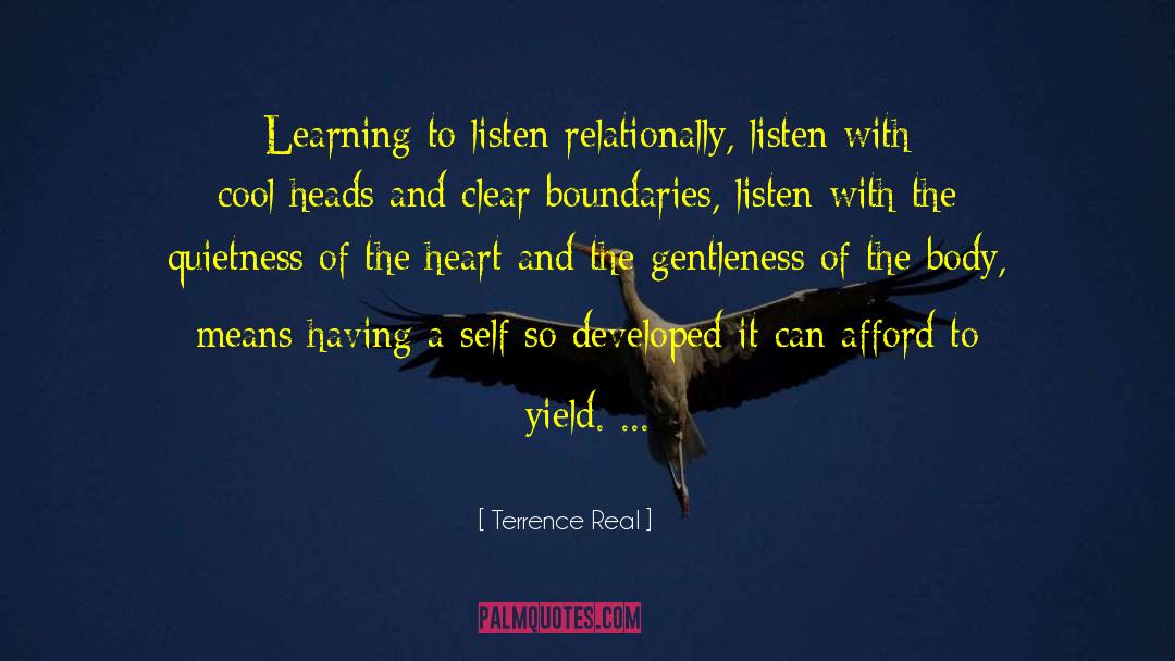 Quietness quotes by Terrence Real