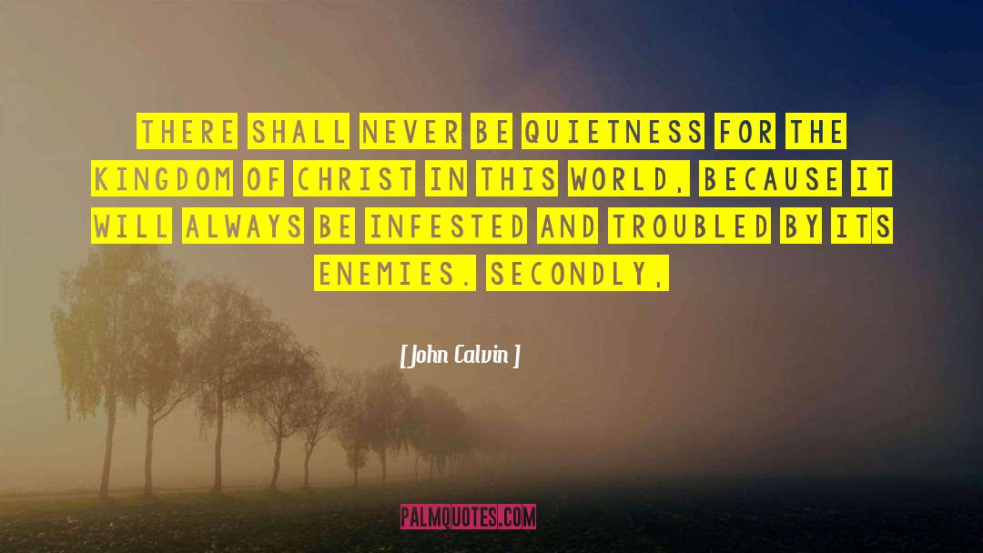 Quietness quotes by John Calvin