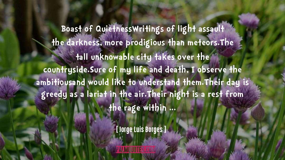 Quietness quotes by Jorge Luis Borges