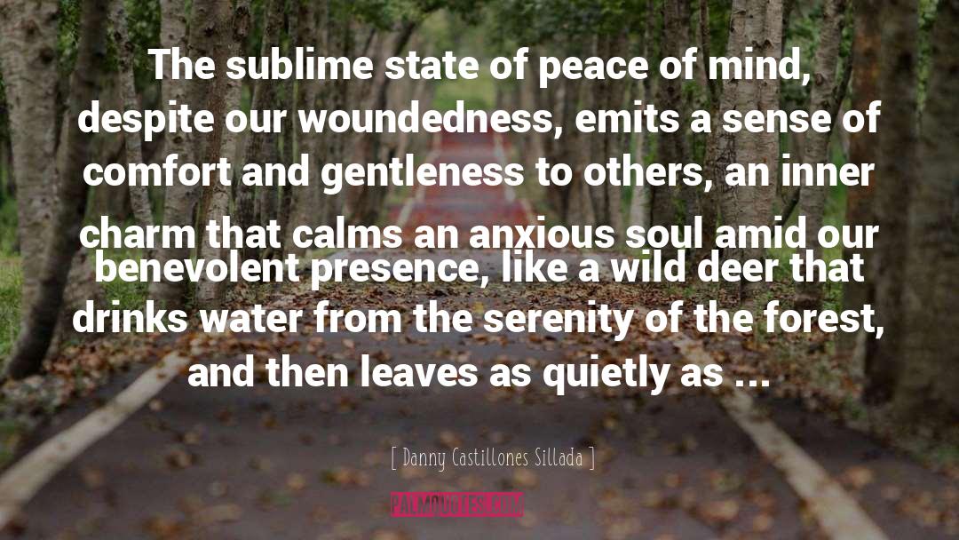 Quietude quotes by Danny Castillones Sillada