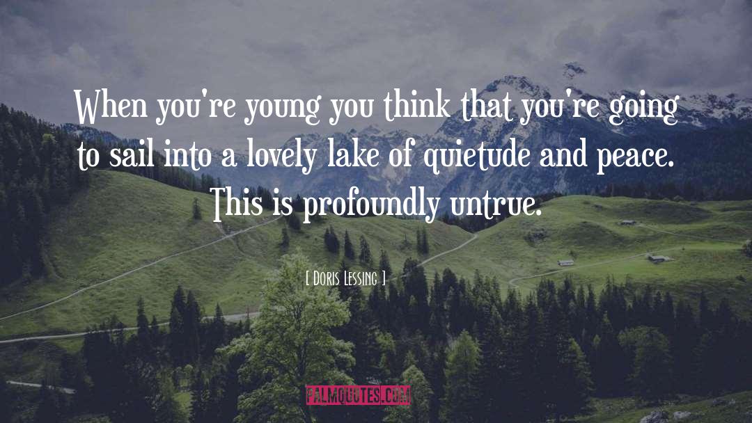 Quietude quotes by Doris Lessing