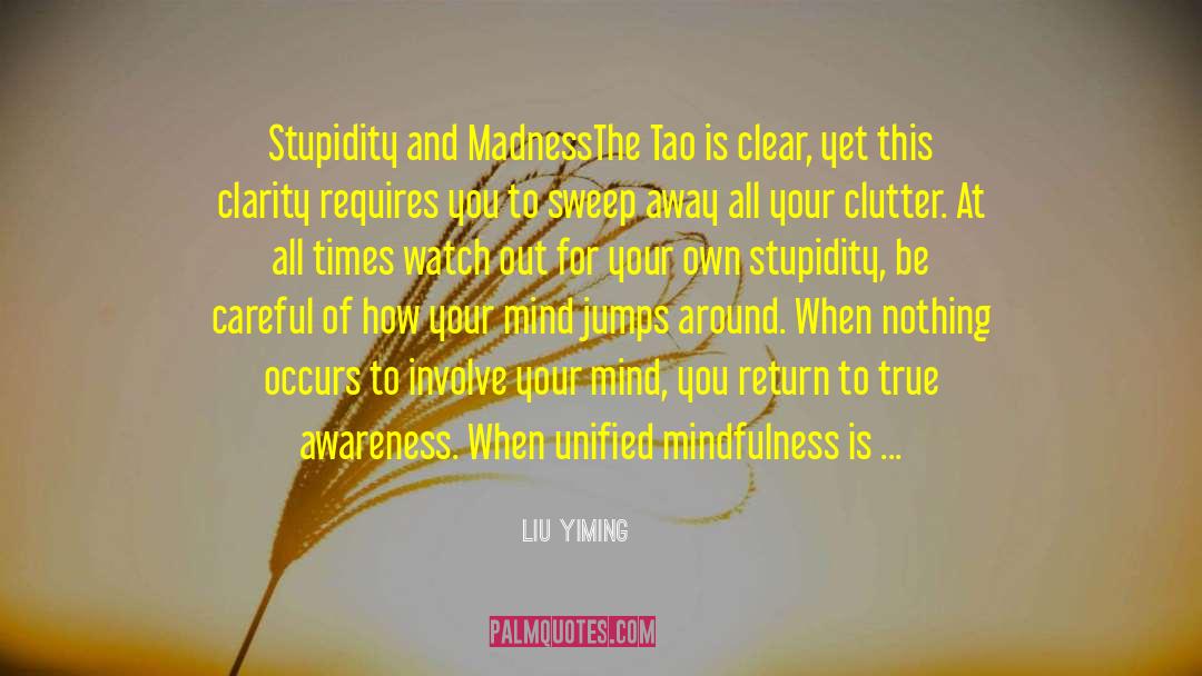 Quietude quotes by Liu Yiming