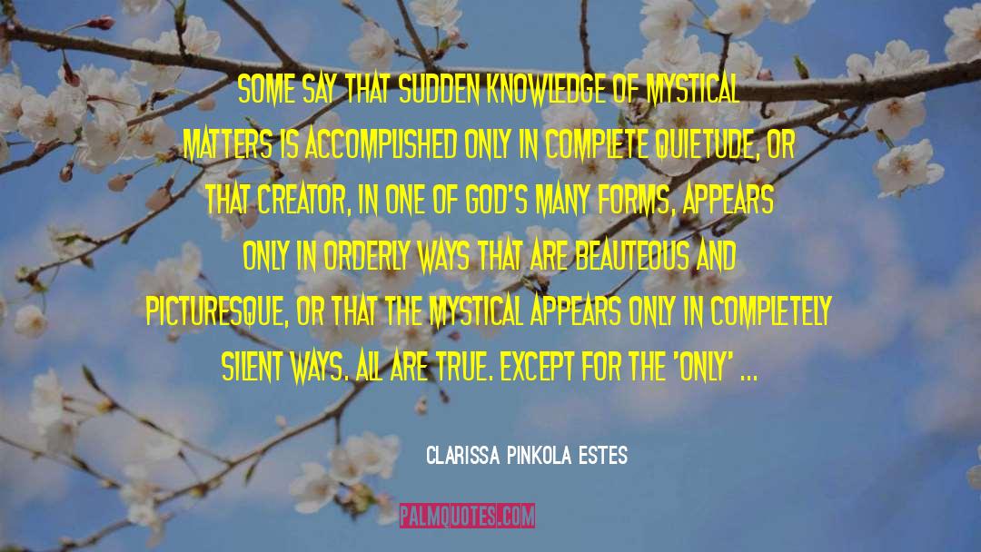Quietude quotes by Clarissa Pinkola Estes