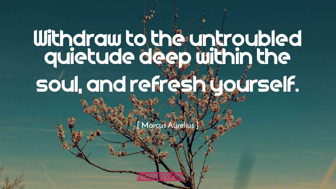 Quietude quotes by Marcus Aurelius