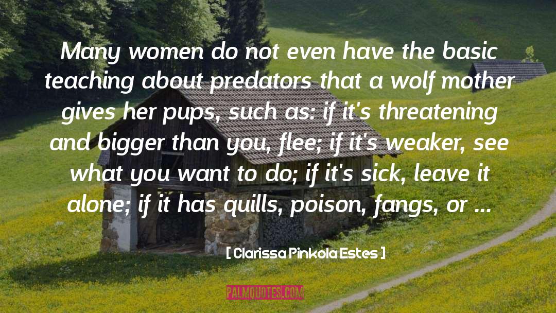 Quills quotes by Clarissa Pinkola Estes