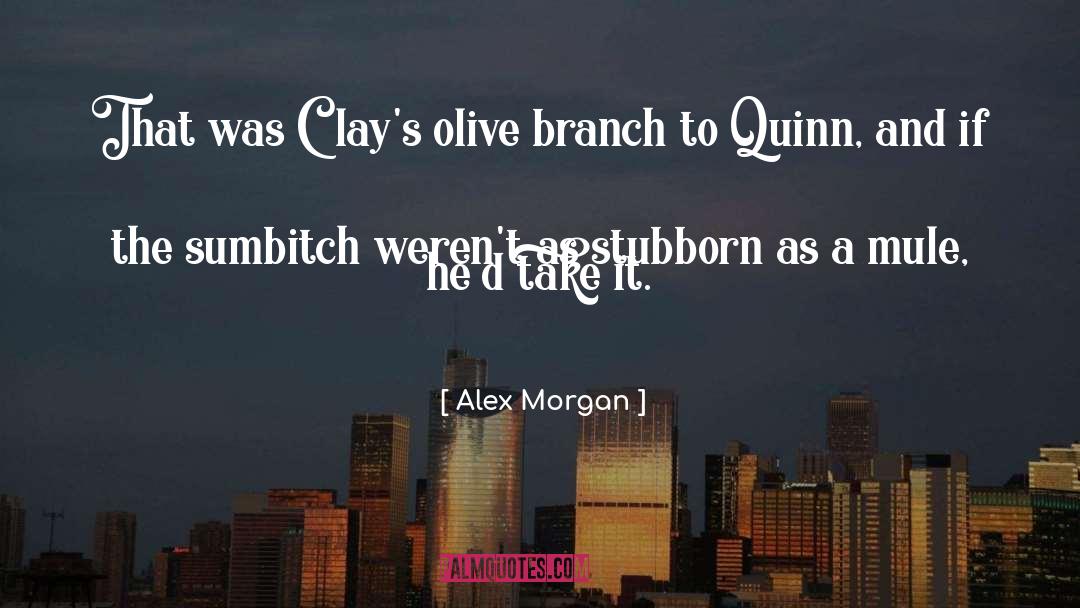 Quinn quotes by Alex Morgan