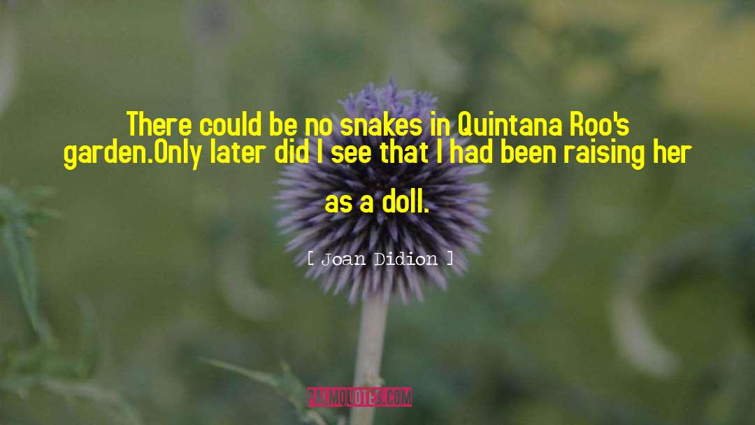 Quintana quotes by Joan Didion