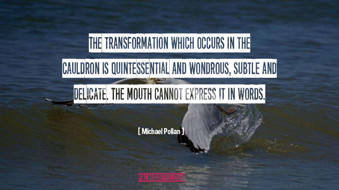 Quintessential quotes by Michael Pollan