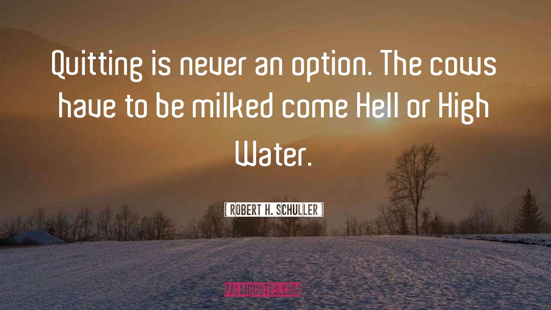 Quitting quotes by Robert H. Schuller