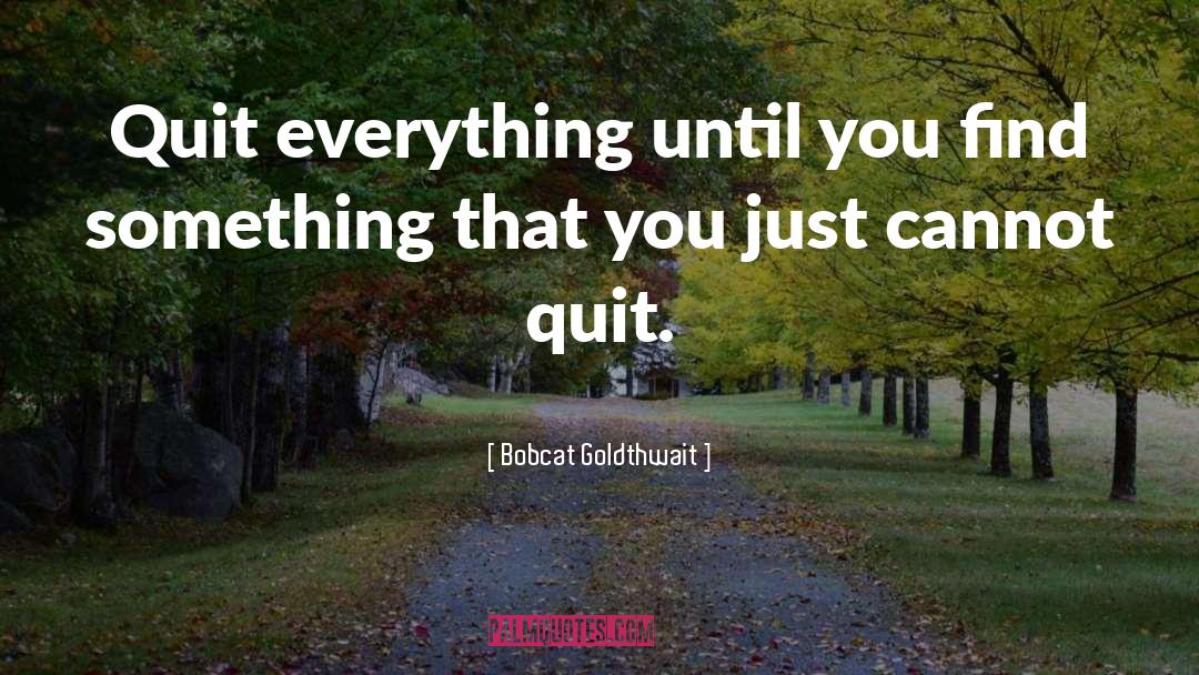 Quitting quotes by Bobcat Goldthwait