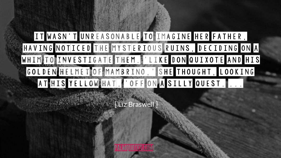 Quixote quotes by Liz Braswell