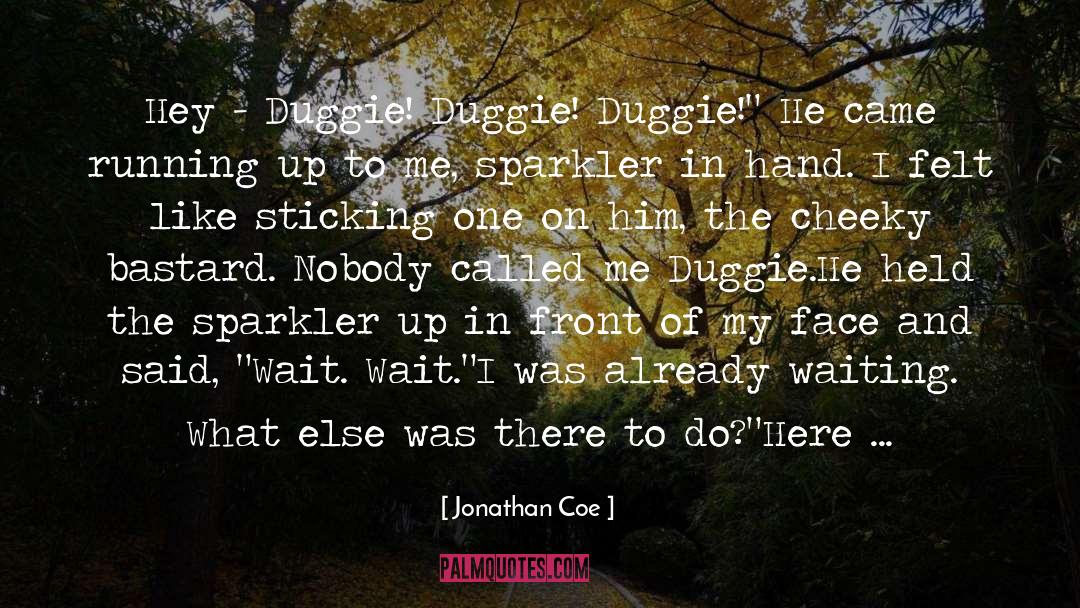Quixotic quotes by Jonathan Coe