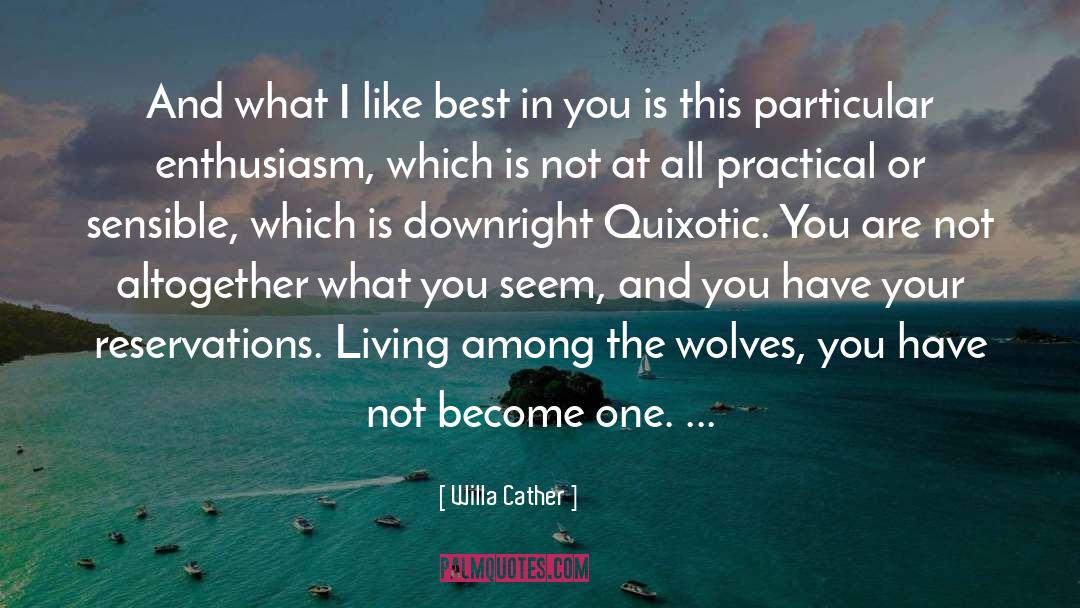 Quixotic quotes by Willa Cather