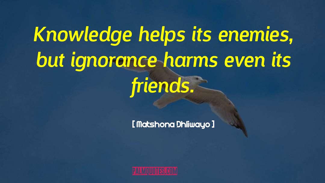 Quotes Amarah quotes by Matshona Dhliwayo