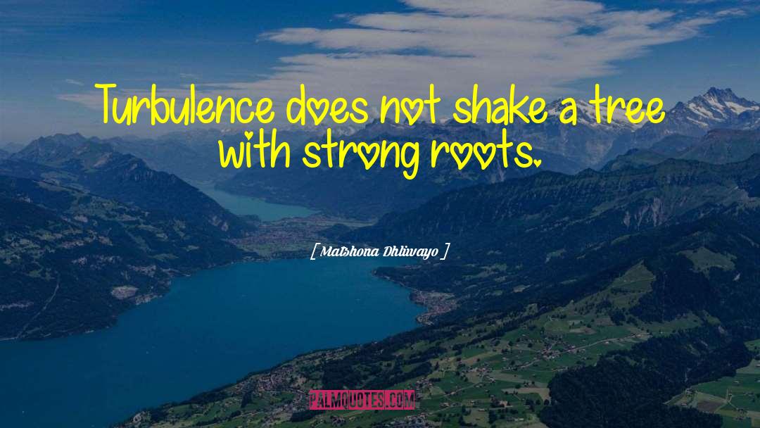 Quotes Solace In Adversity quotes by Matshona Dhliwayo