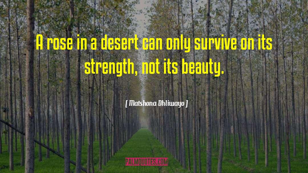 Quotes Solace In Adversity quotes by Matshona Dhliwayo