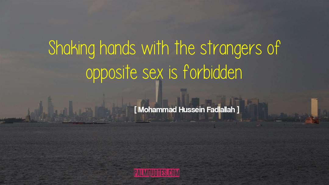 Qureshi Mohammad quotes by Mohammad Hussein Fadlallah
