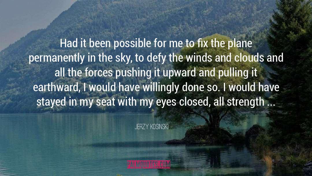 Rabbet Plane quotes by Jerzy Kosinski