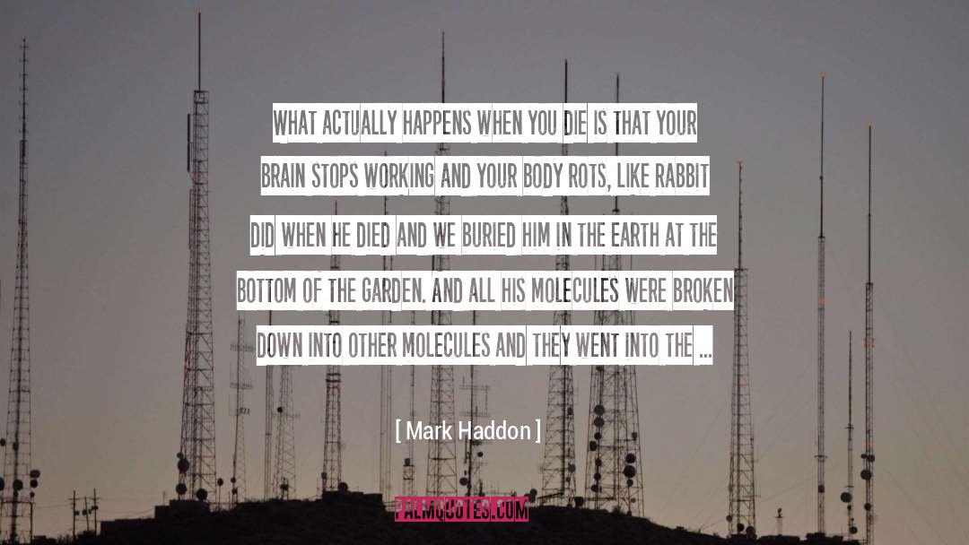 Rabbit Angstrom quotes by Mark Haddon