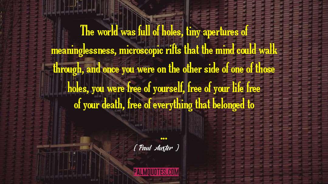 Rabbit Holes quotes by Paul Auster