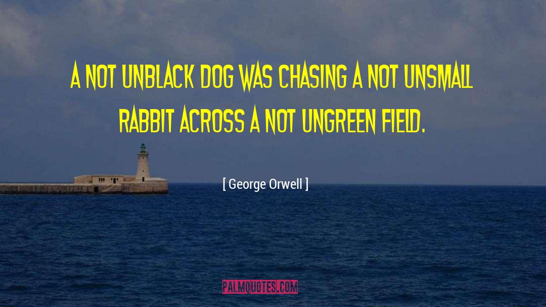 Rabbit quotes by George Orwell