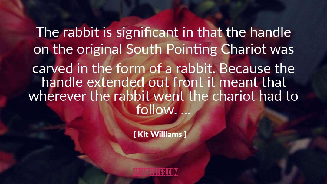 Rabbit quotes by Kit Williams