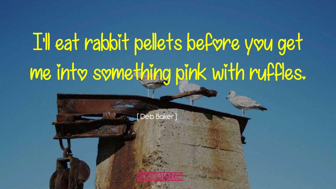 Rabbit quotes by Deb Baker