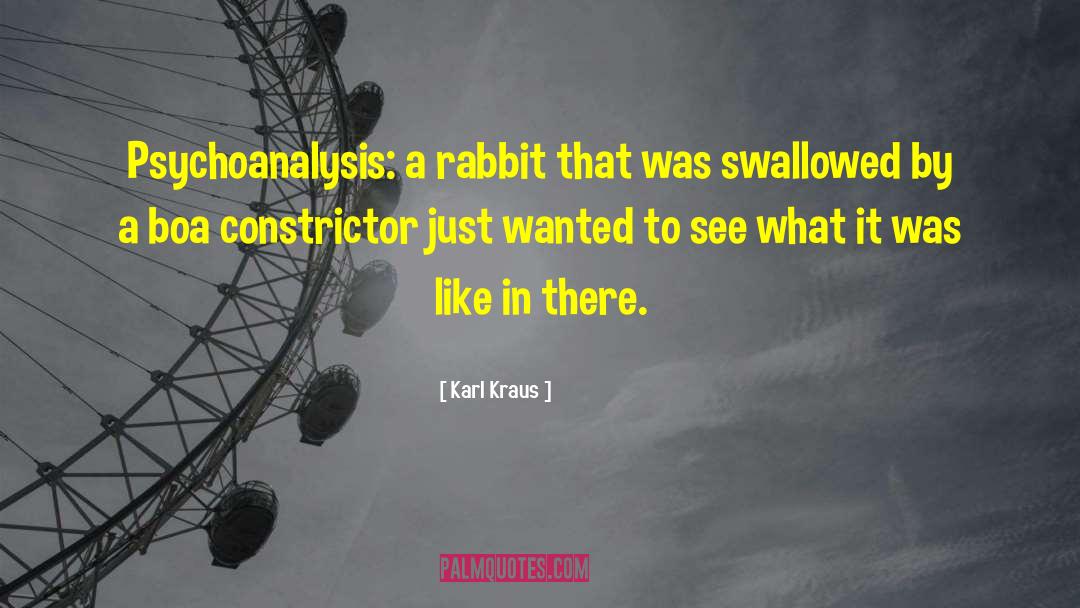 Rabbit quotes by Karl Kraus