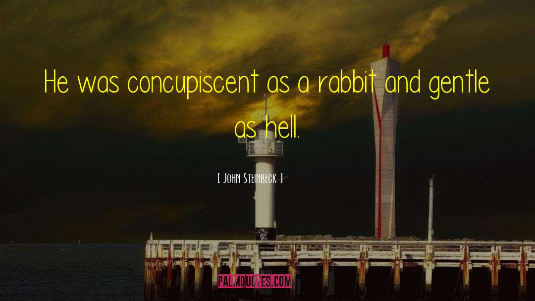 Rabbit quotes by John Steinbeck