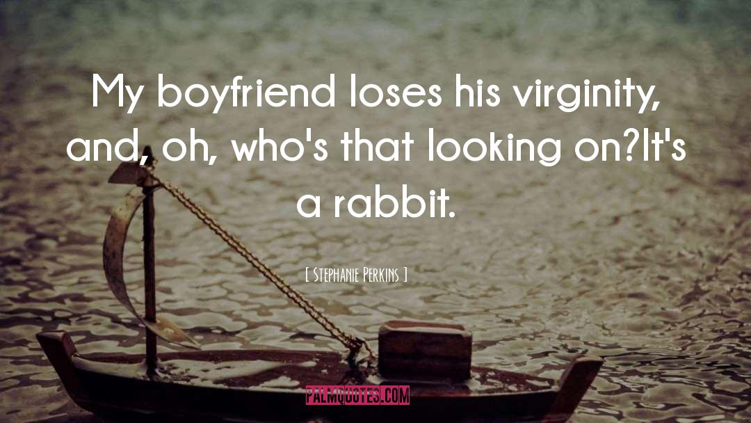 Rabbit quotes by Stephanie Perkins