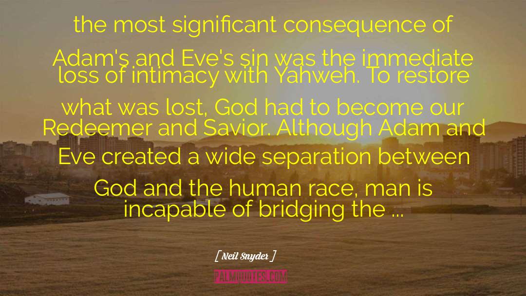 Race And Christianity quotes by Neil Snyder