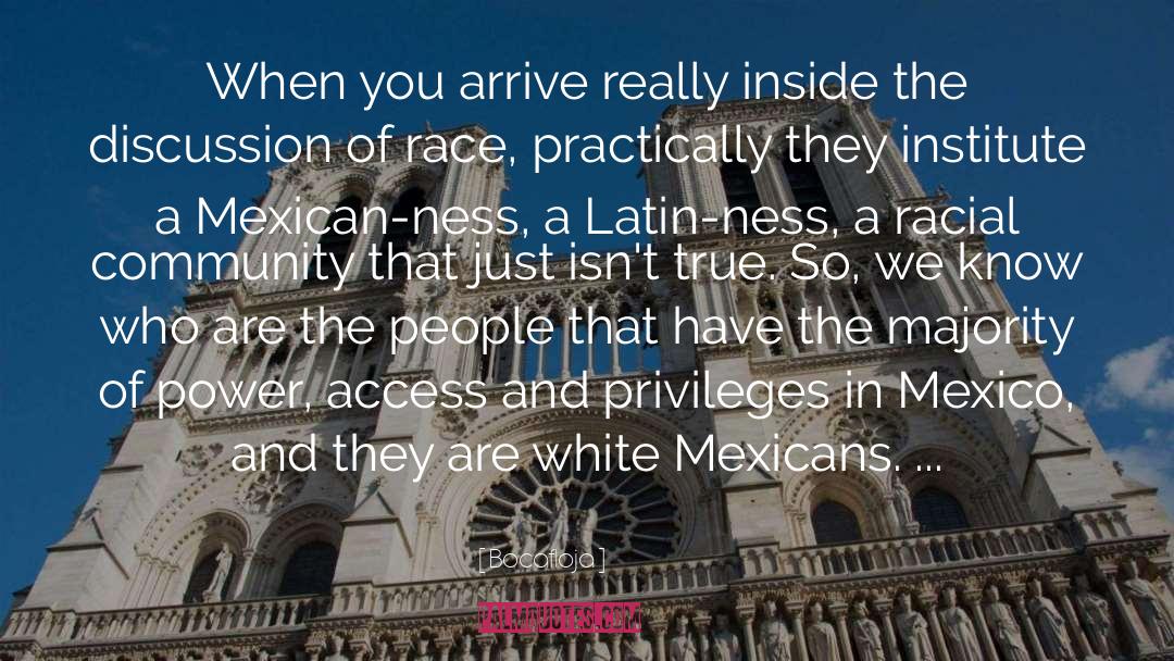 Race Ethnicity quotes by Bocafloja