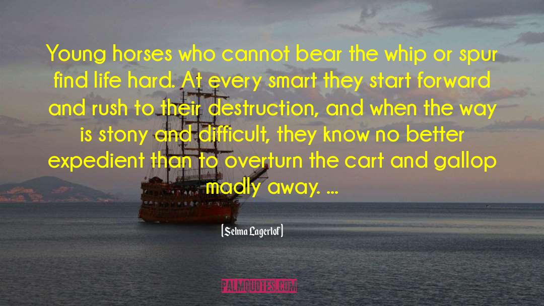 Race Horses quotes by Selma Lagerlof